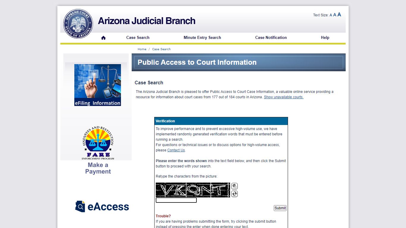 Public Access Case Lookup